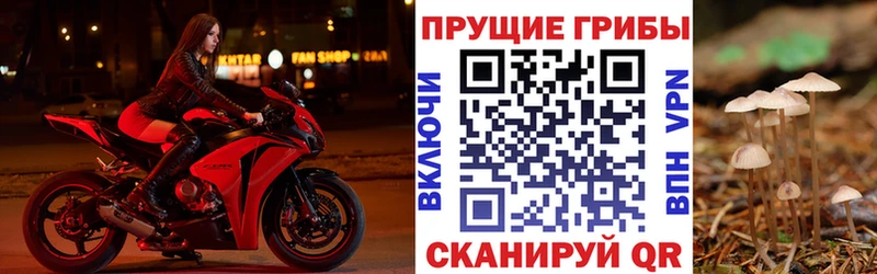 Галлюциногенные грибы ЛСД Ковдор